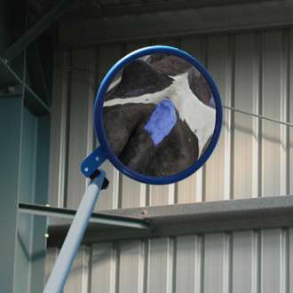 230mm Heavy Duty Inspection Mirror