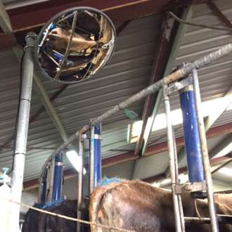 760mm Acrylic Livestock Observation Mirror