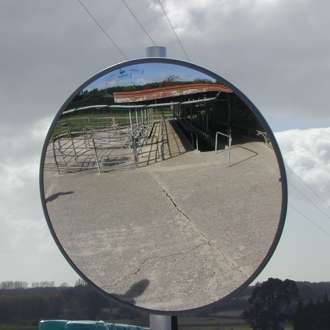 600mm Stainless Steel Livestock Observation Mirror