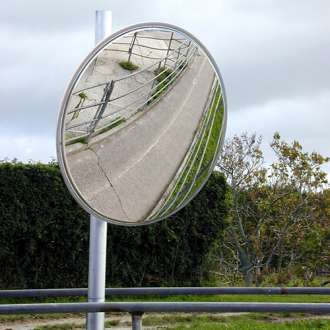 600mm Stainless Steel Livestock Observation Mirror