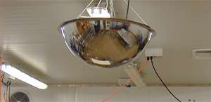 Stainless Steel Food Production Dome Mirrors