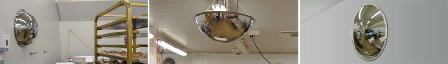 Stainless Steel Food Production Dome Mirrors